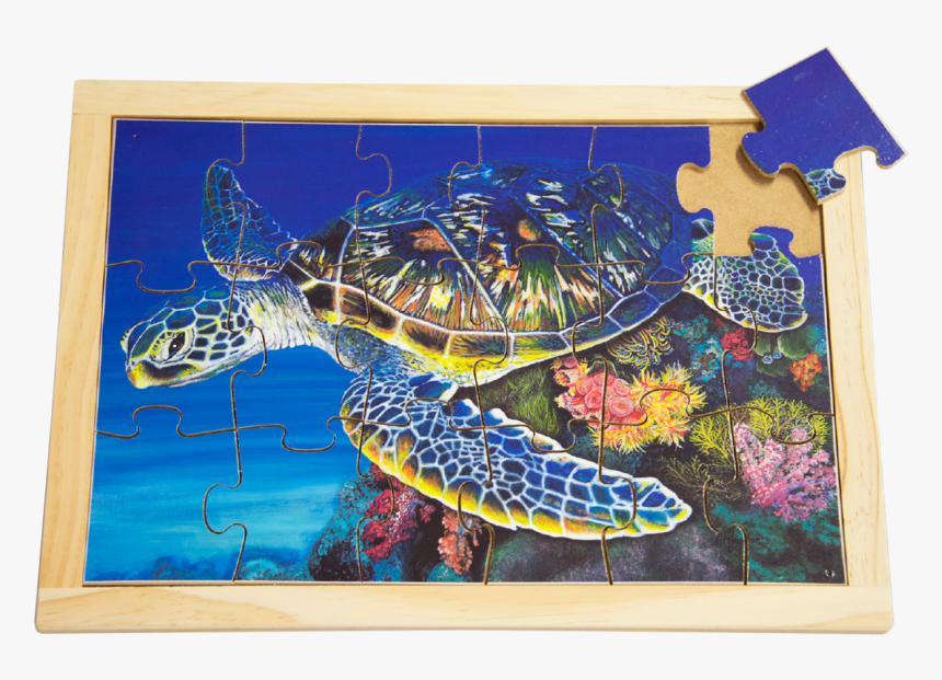 Sea Turtle Png, Transparent Png