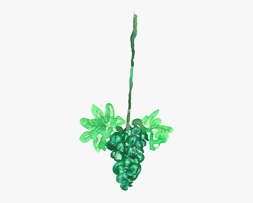 Grape, HD Png Download