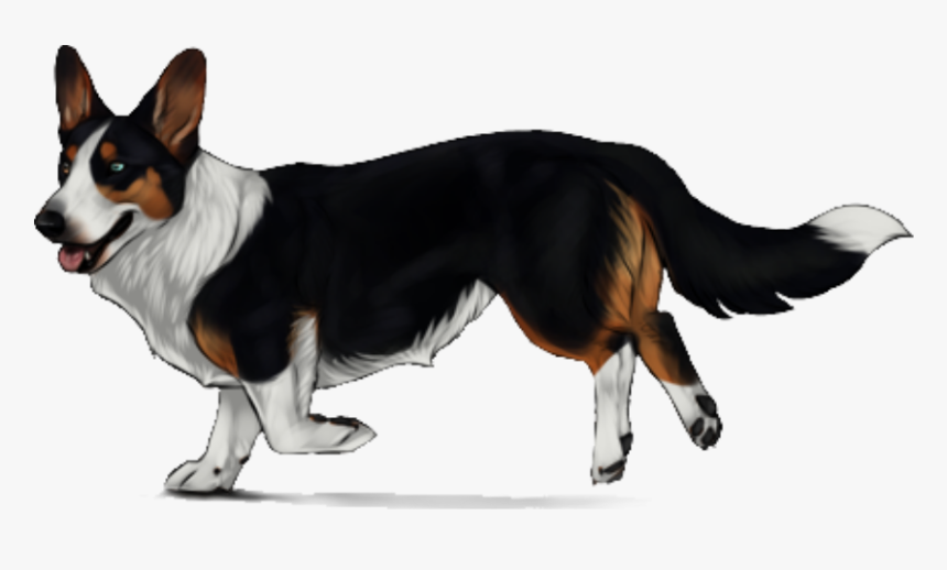 Cardigan Welsh Corgi, HD Png Download