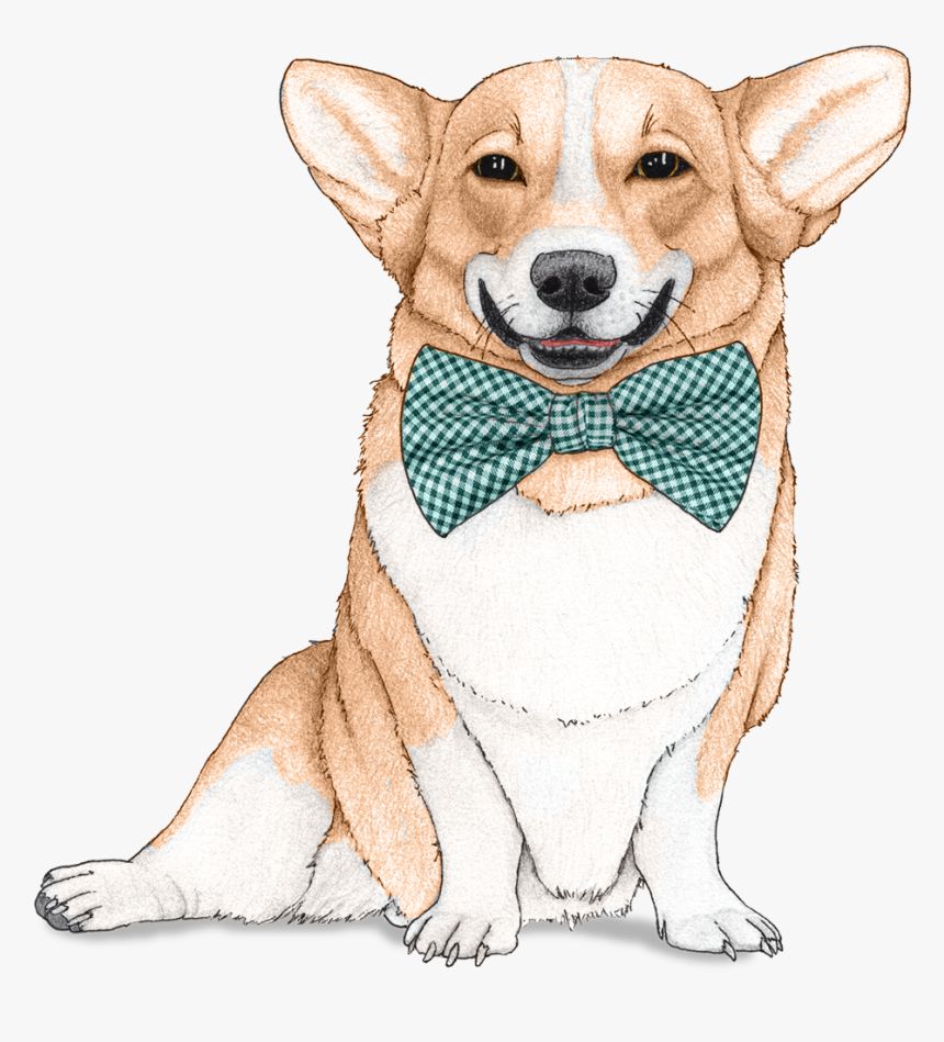 Dog Wallpaper For Walls, HD Png Download