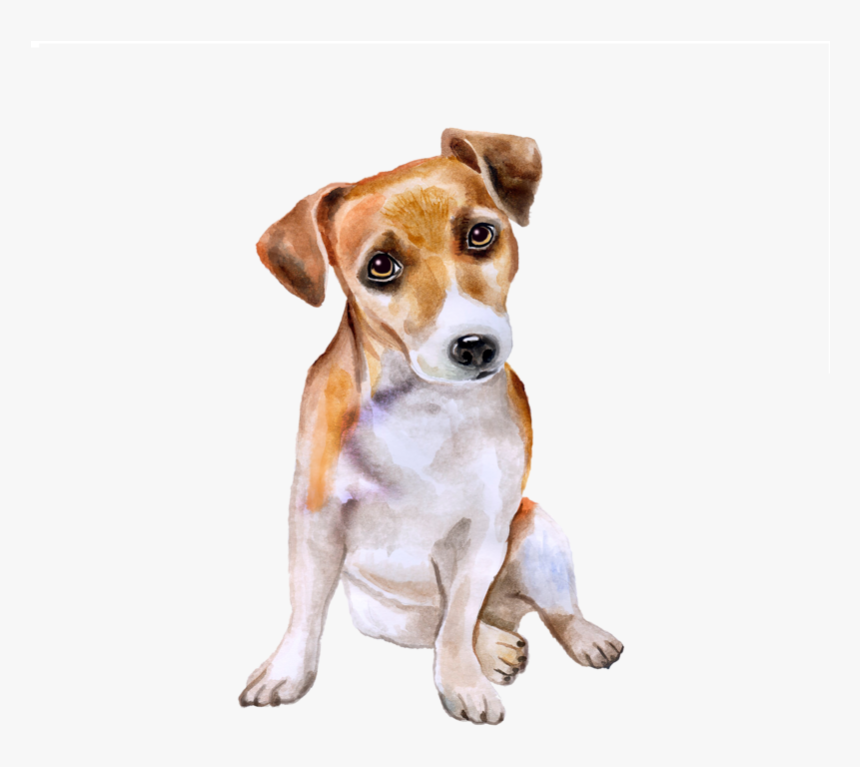 Transparent Chihuahua Clipart, HD Png Download