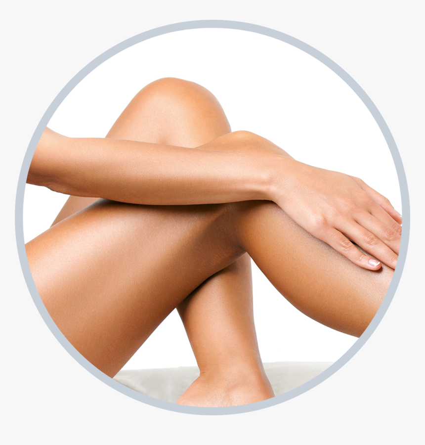 Legs Png, Transparent Png