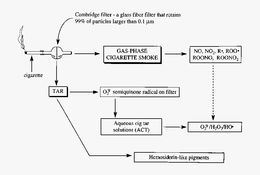 Cigarette Smoke Transparent Png, Png Download