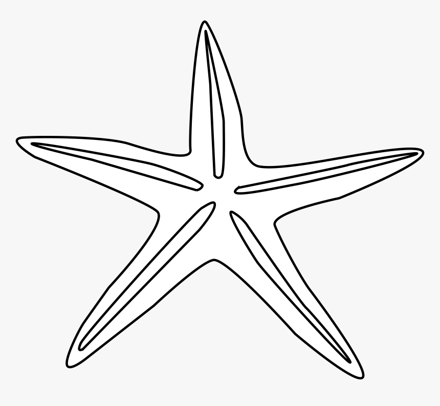 Star Fish Outline Png, Transparent Png