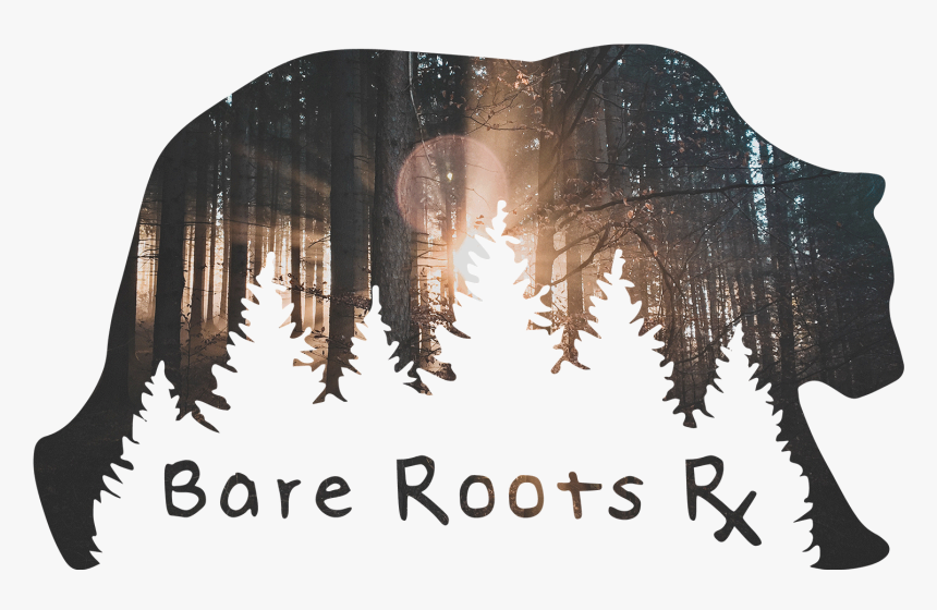 Tree Roots Png, Transparent Png