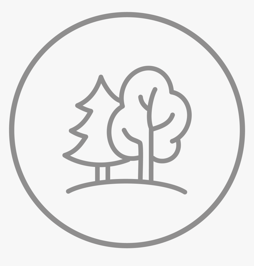 Tree Top Services Provides Professional Advice And, HD Png Download