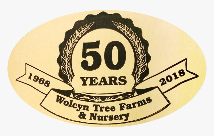 Transparent Trees Top View Png, Png Download