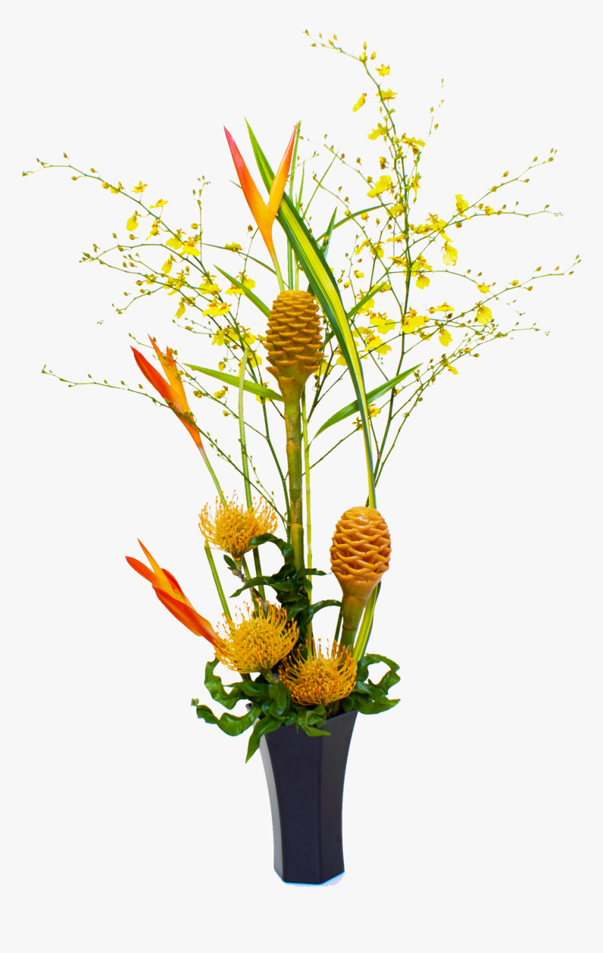 Hawaiian Patch Of Sun Light Tropical Hawaiian Flowers, HD Png Download