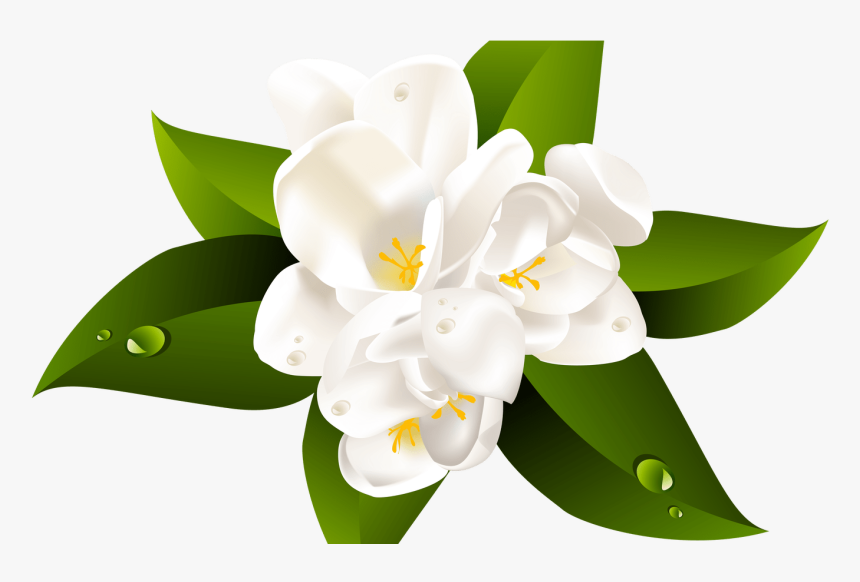 Clipartxtras Transparent Background Hawaiian Flower, HD Png Download
