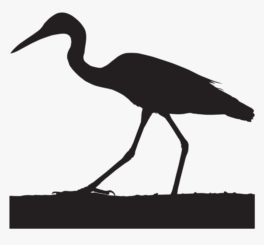 Crane Bird Head Silhouette, HD Png Download