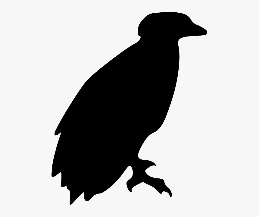 Eagle, Bird, Animal, Perching, Silhouette, HD Png Download