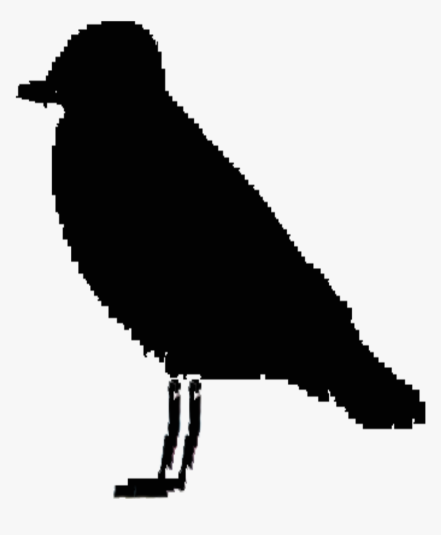 Ireland Bird Silhouette Clip Arts, HD Png Download
