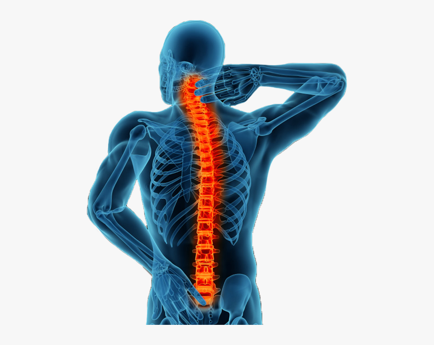 Spine Back Png Jpg Black And White Library, Transparent Png