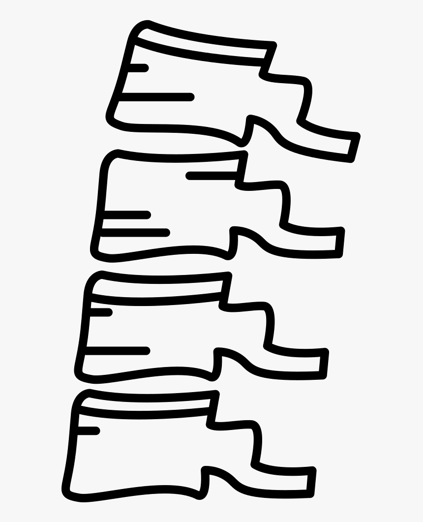Spine Bone, HD Png Download