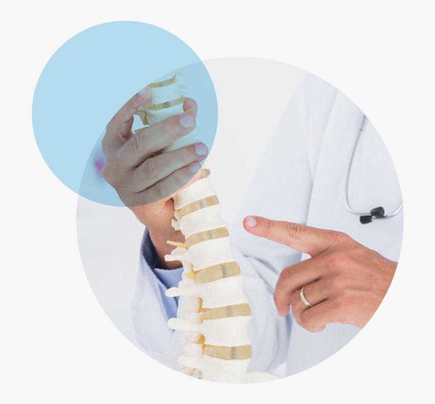 Spine, HD Png Download