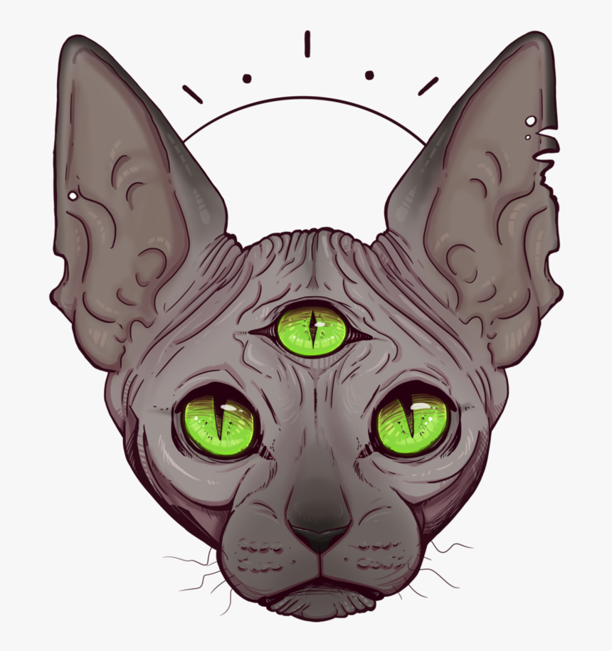 Whiskers Korat Sphynx Cat Kitten Domestic Short-haired, HD Png Download