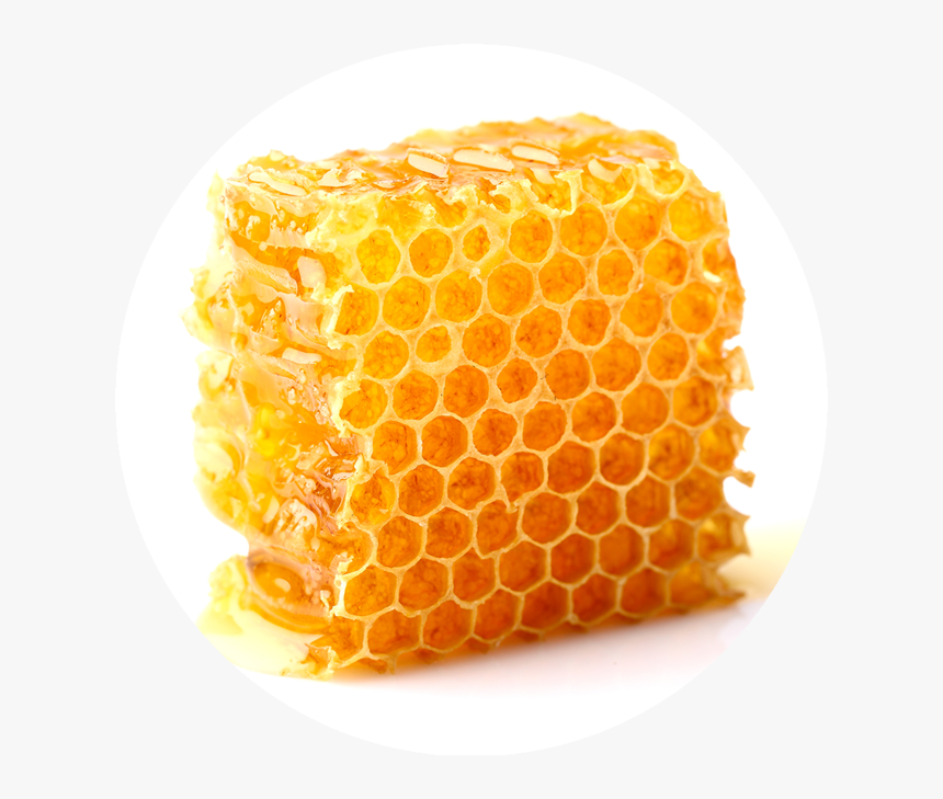 Honeycomb, HD Png Download