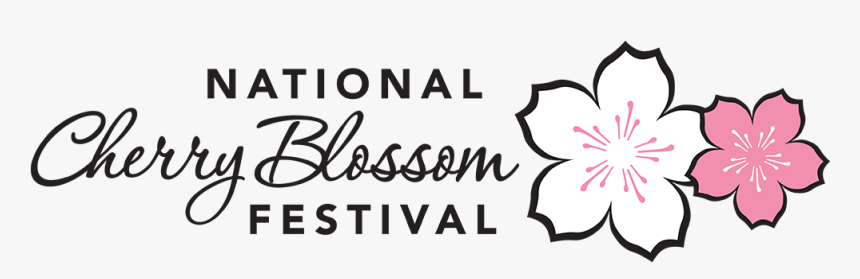 Cherry Blossom Petals Png, Transparent Png