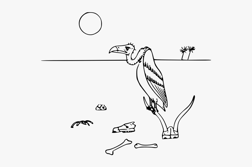Vulture In Desert Vector Illustration, HD Png Download