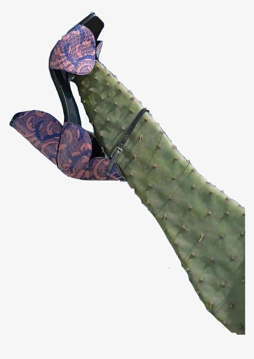 Desert Png, Transparent Png