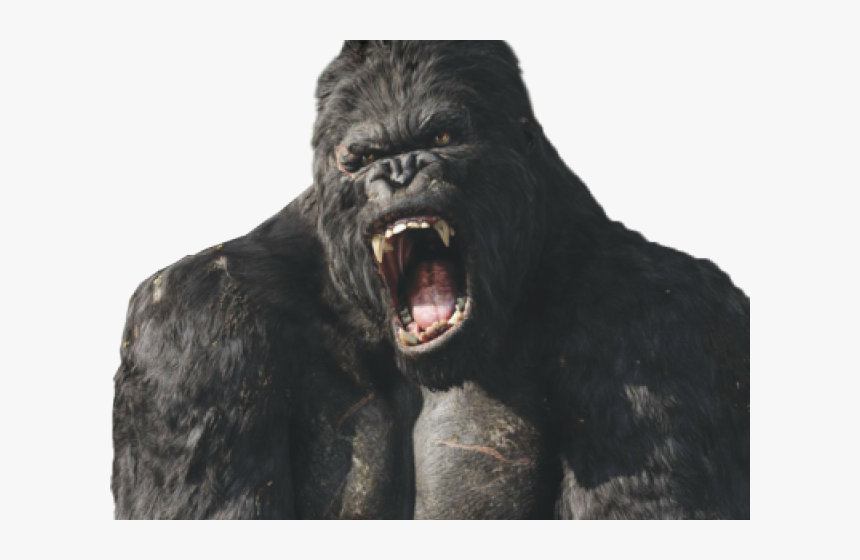 Hong Kong Clipart Gorilla Head, HD Png Download