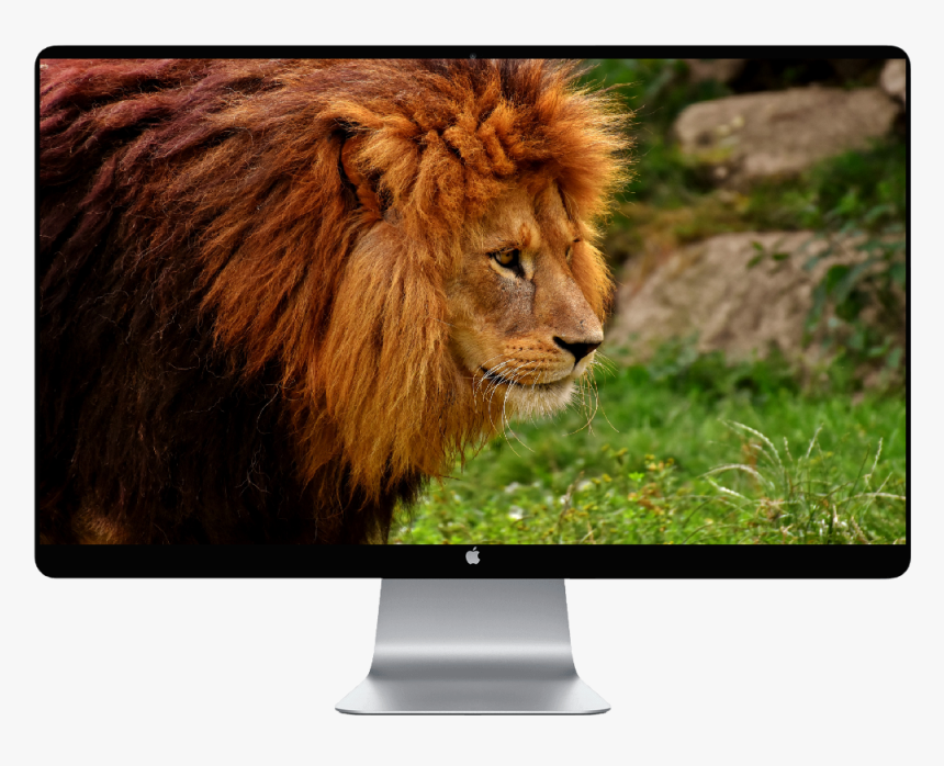 Wolf On A Cliff Clipart , Png Download, Transparent Png