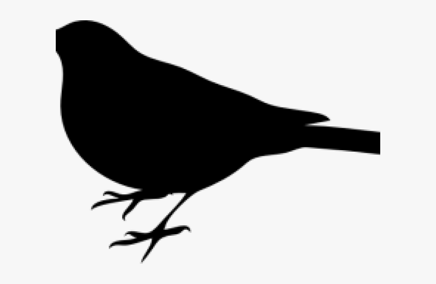 Mockingbird Clipart Texas Mockingbird, HD Png Download