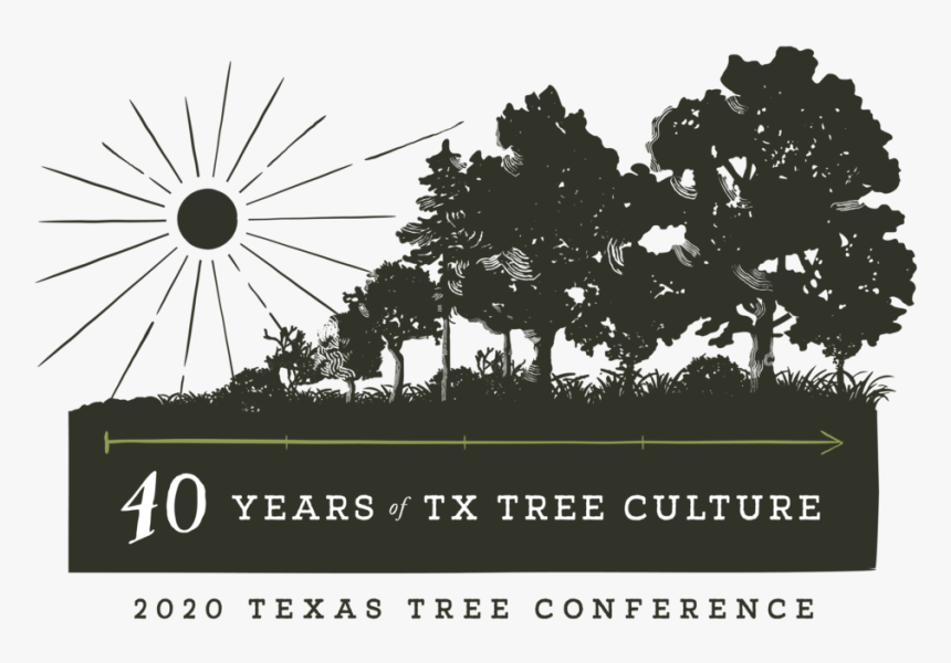 Texas Silhouette Png, Transparent Png