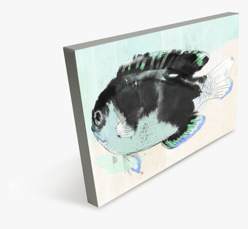 School Of Fish, HD Png Download