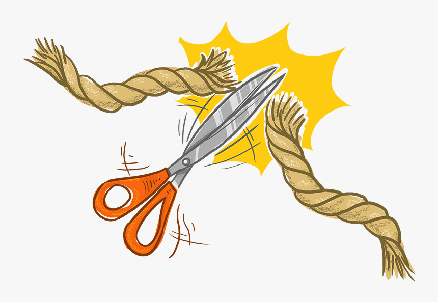 School Of Fish Png, Transparent Png