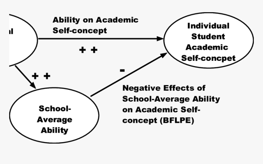 Path Model Predictions Based On The Big Fish Little, HD Png Download