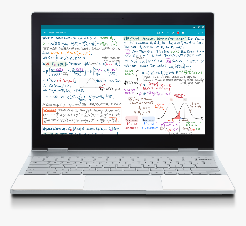 Squid Png, Transparent Png