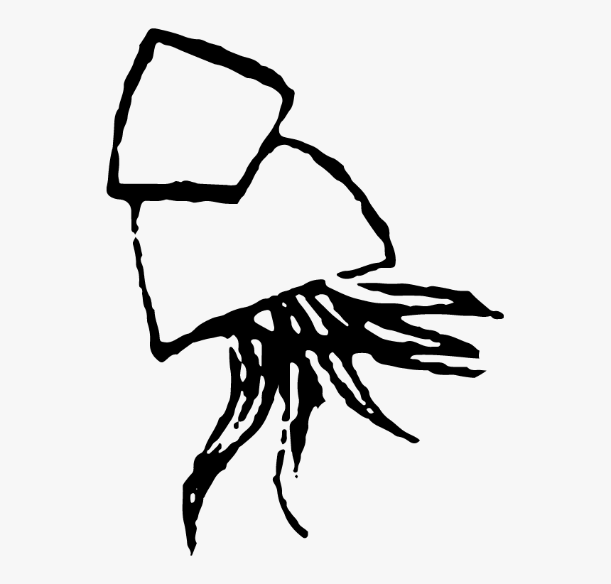 Free Illustration Of Squid, HD Png Download