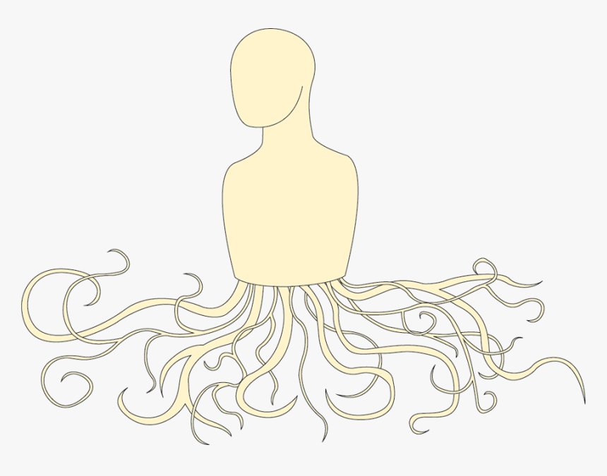 Squid, HD Png Download