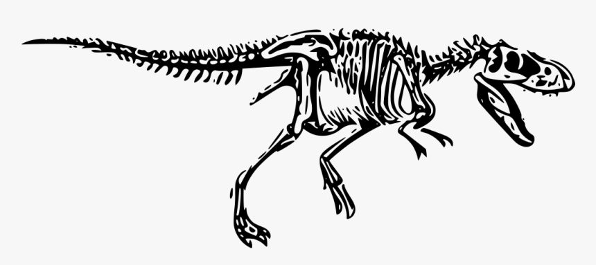 Trex Png, Transparent Png