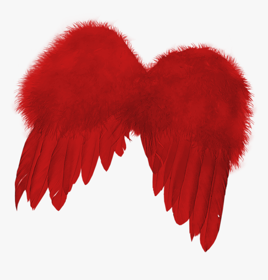 Angel Wing Png, Transparent Png