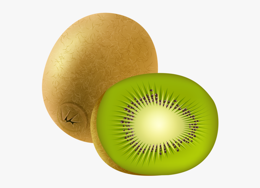 Kiwi Clipart Fruites, HD Png Download