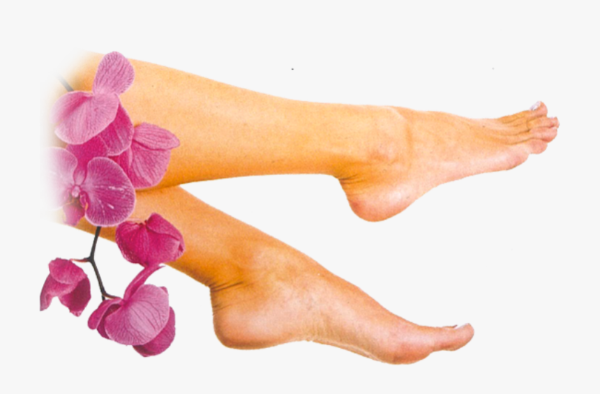 1000 Hour Softsole Express, HD Png Download