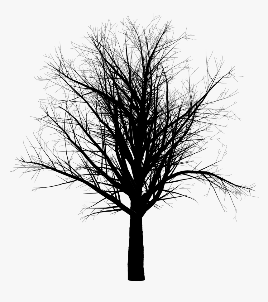 Spooky Forest.png, Transparent Png