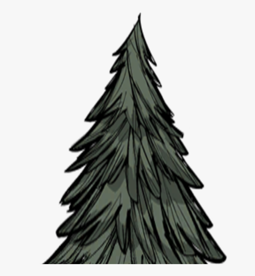Pine Cone, HD Png Download