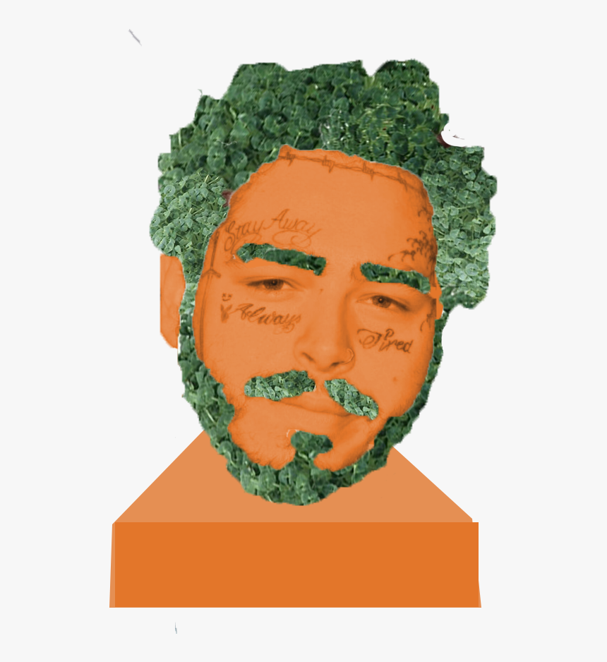 Post Malone Png, Transparent Png