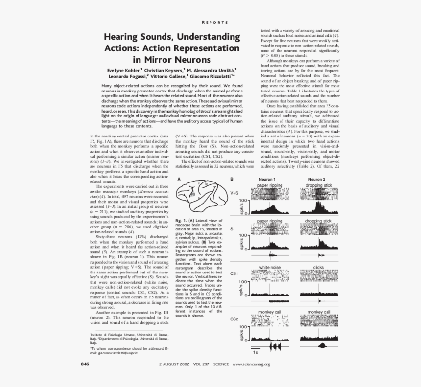 Paper Rip Png, Transparent Png