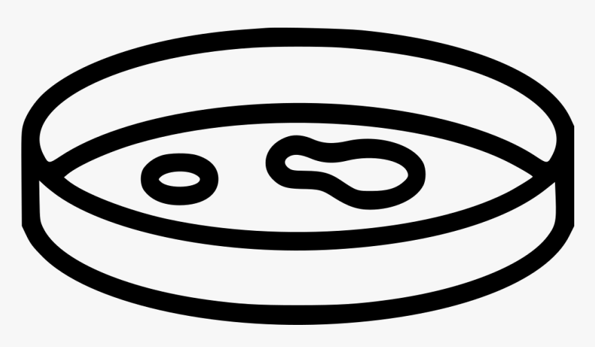 Petri Dish Comments, HD Png Download