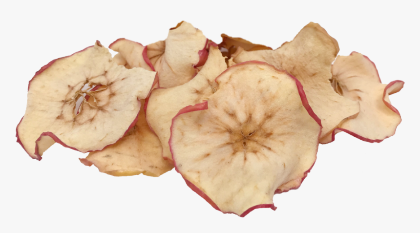 Pink Lady Slimsmall Photo Web, HD Png Download