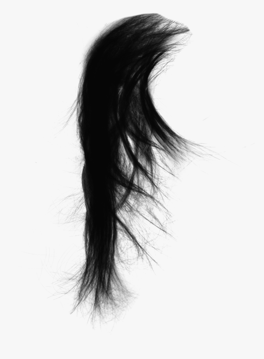Drawing Capelli Black Hair, HD Png Download