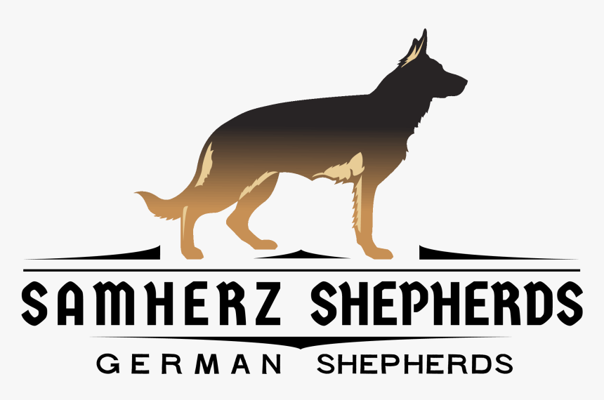 Old German Shepherd Dog , Png Download, Transparent Png
