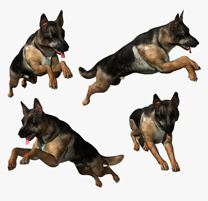 German Shepherd Png, Transparent Png