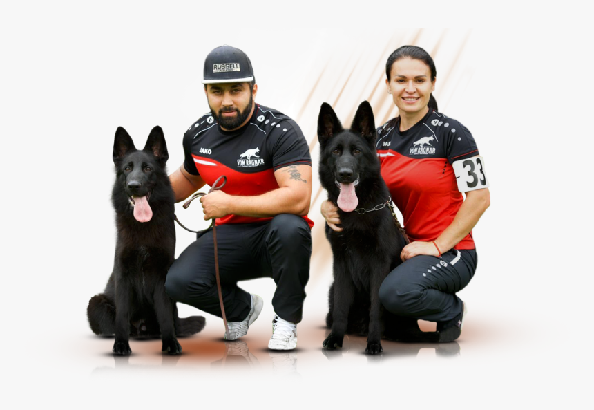 German Shepherd Png, Transparent Png