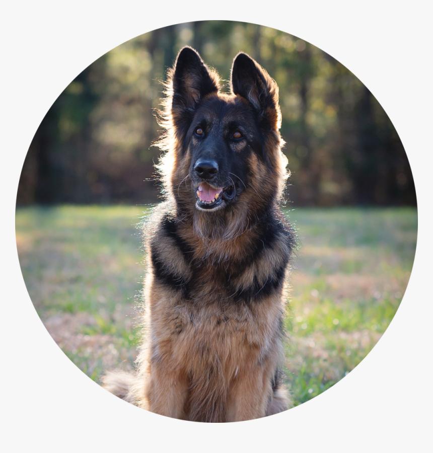 Lauren Gunnar, HD Png Download