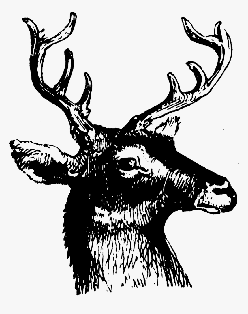 Deer Head Silhouette Png, Transparent Png